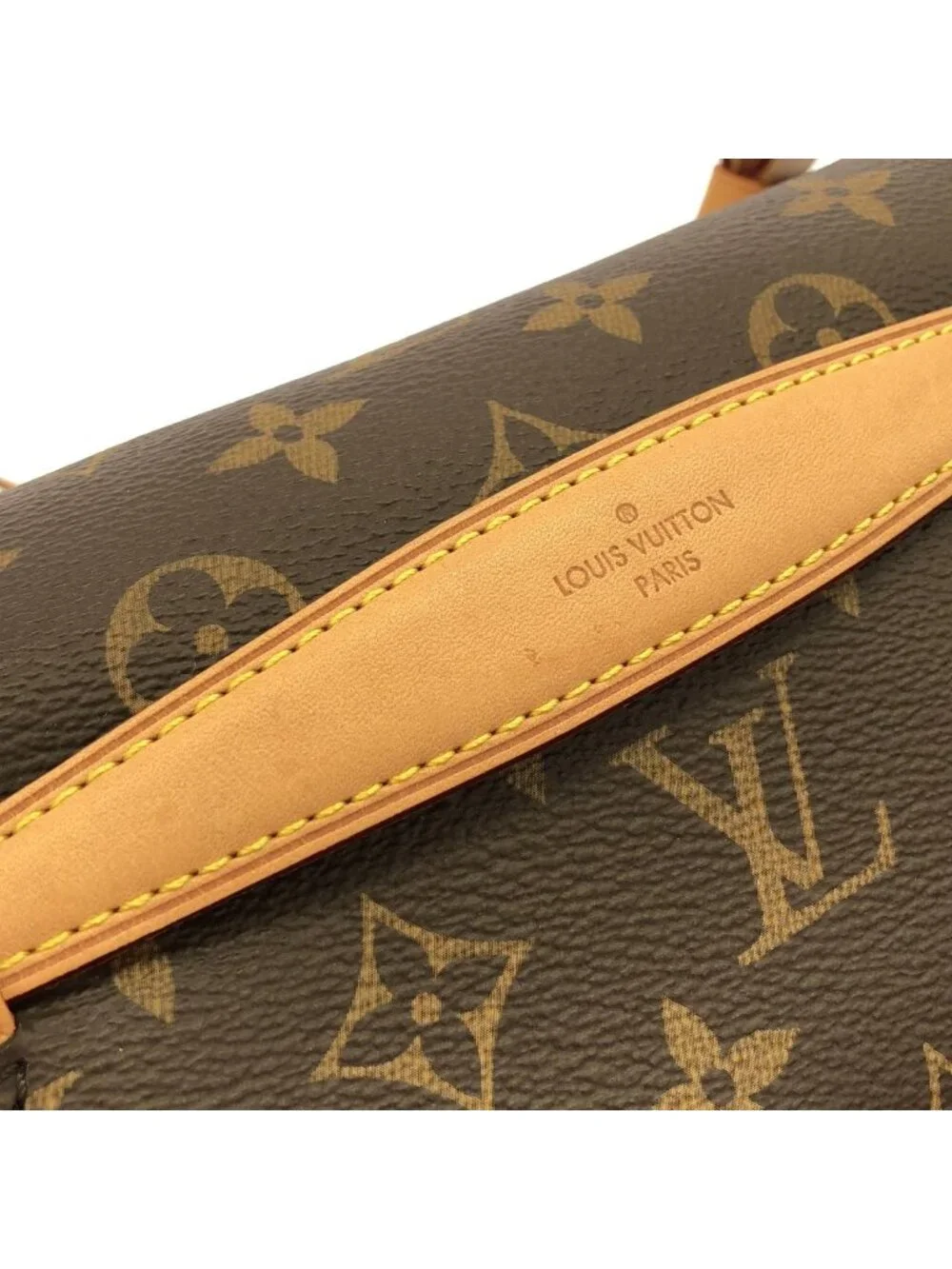 Louis Vuitton Monogram Bum